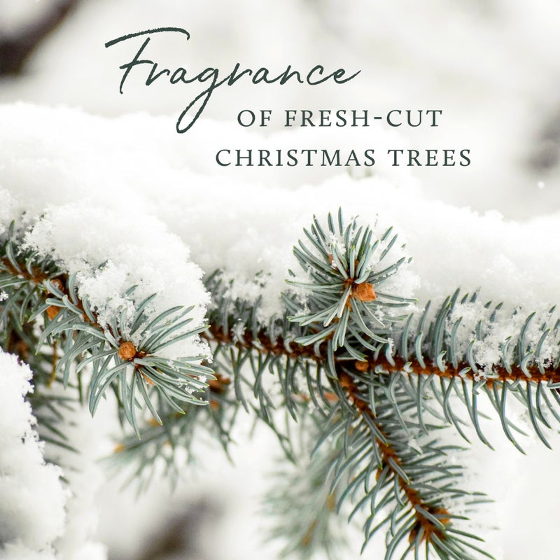 Thymes Dishwashing Liquid (Frasier Fir) - Image 5